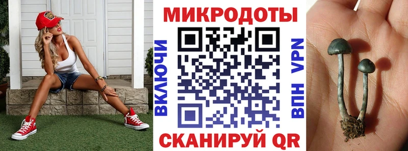 Купить закладки  Апатиты  Псилоцибиновые грибы GOLDEN TEACHER 