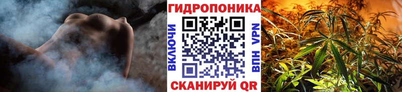 Шишки марихуана план  Купить  Апатиты 